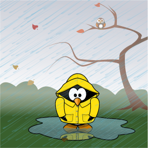 sackkarre mieten.de Wetterwarnung 041c67b4